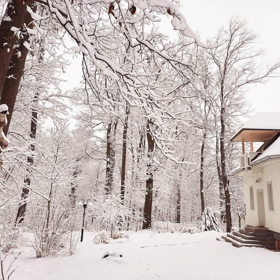 Magnolia Hotell Nagykanizsa Eksteriør bilde